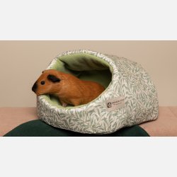 Hule - Willow by William Morris