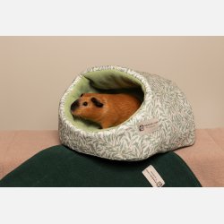 Hule - Willow by William Morris