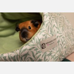 Hule - Willow by William Morris