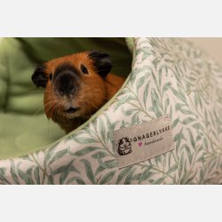 Hule - Willow by William Morris