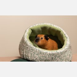 Hule - Willow by William Morris