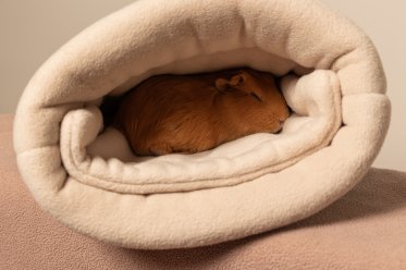 Koseposer