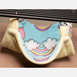 Superhelten-hengek�ye - Rainbow