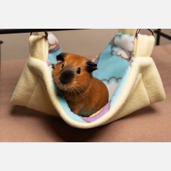 Superhelten-hengek�ye - Rainbow