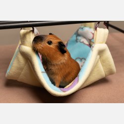 Superhelten-hengek�ye - Rainbow