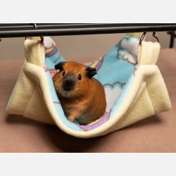 Superhelten-hengek�ye - Rainbow