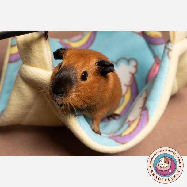 Superhelten-hengek�ye - Rainbow