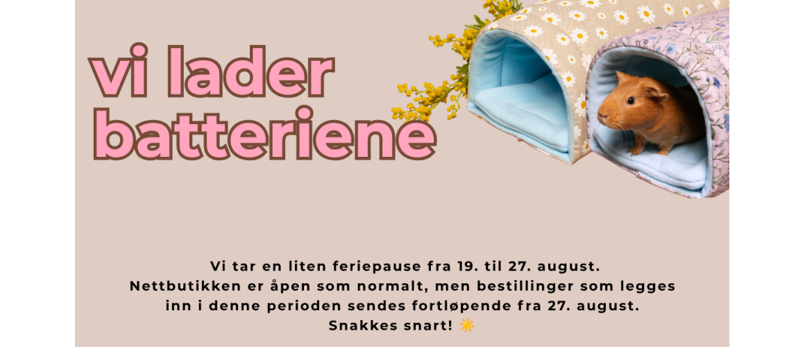 V�rlansering 2026
