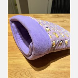 Kosepose - Lilla marsvin