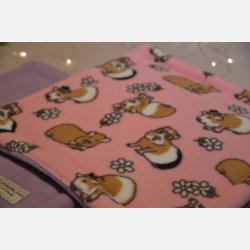 Hverdagshelten - Rosa marsvin