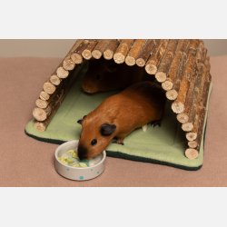 Superhelten - Soft green